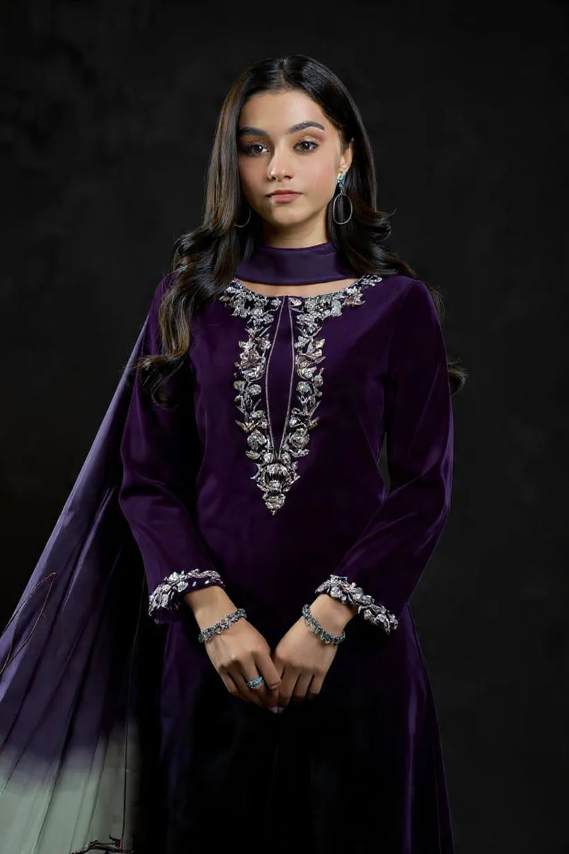 ZC-16 A Embroidered Velvet Three piece velvet Collection